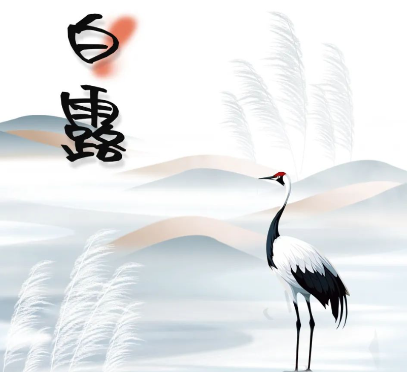 郑矿机器 | 白露为霜，秋意渐浓